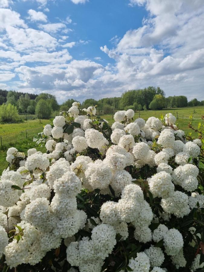 Woodhouse Spreewiesen Burig المظهر الخارجي الصورة